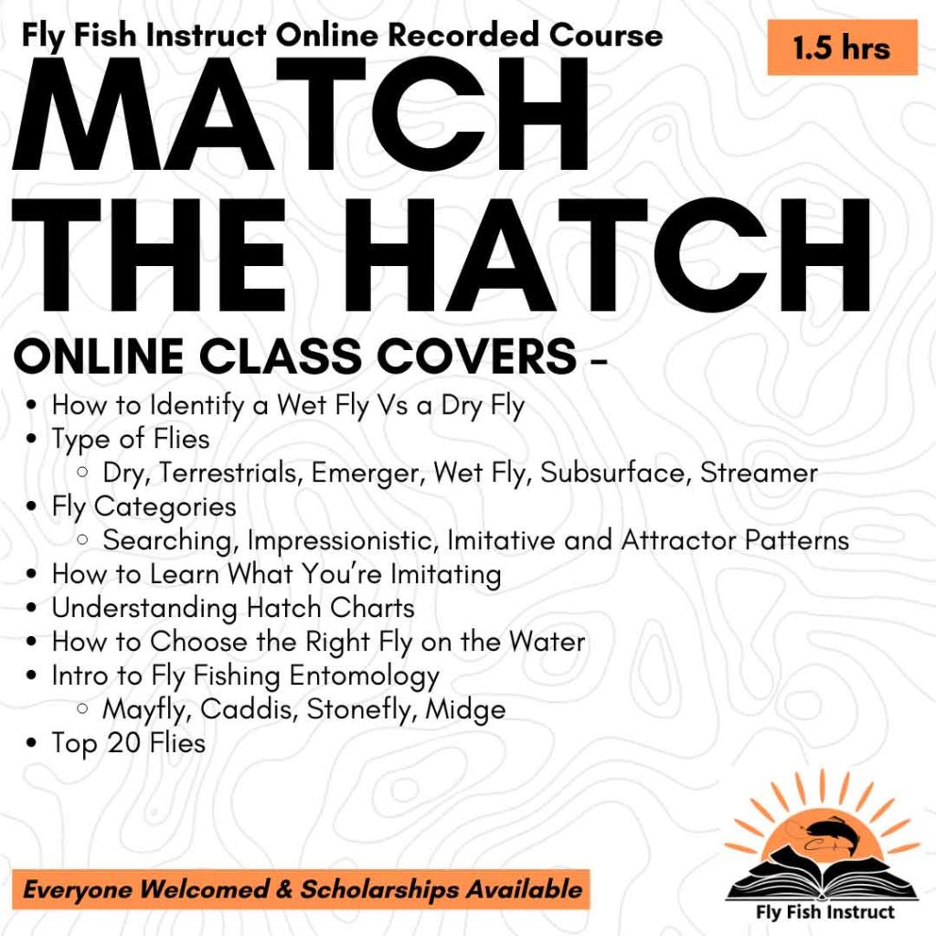 Match-the-Hatch-Online-Recorded-Course-with-Fly-FIsh-Instruct