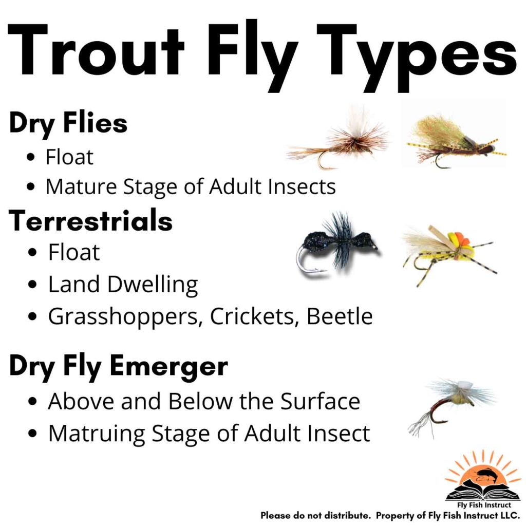 Dry-Fly-Terrestrial-Dry-Emerger-Types-of-Flies