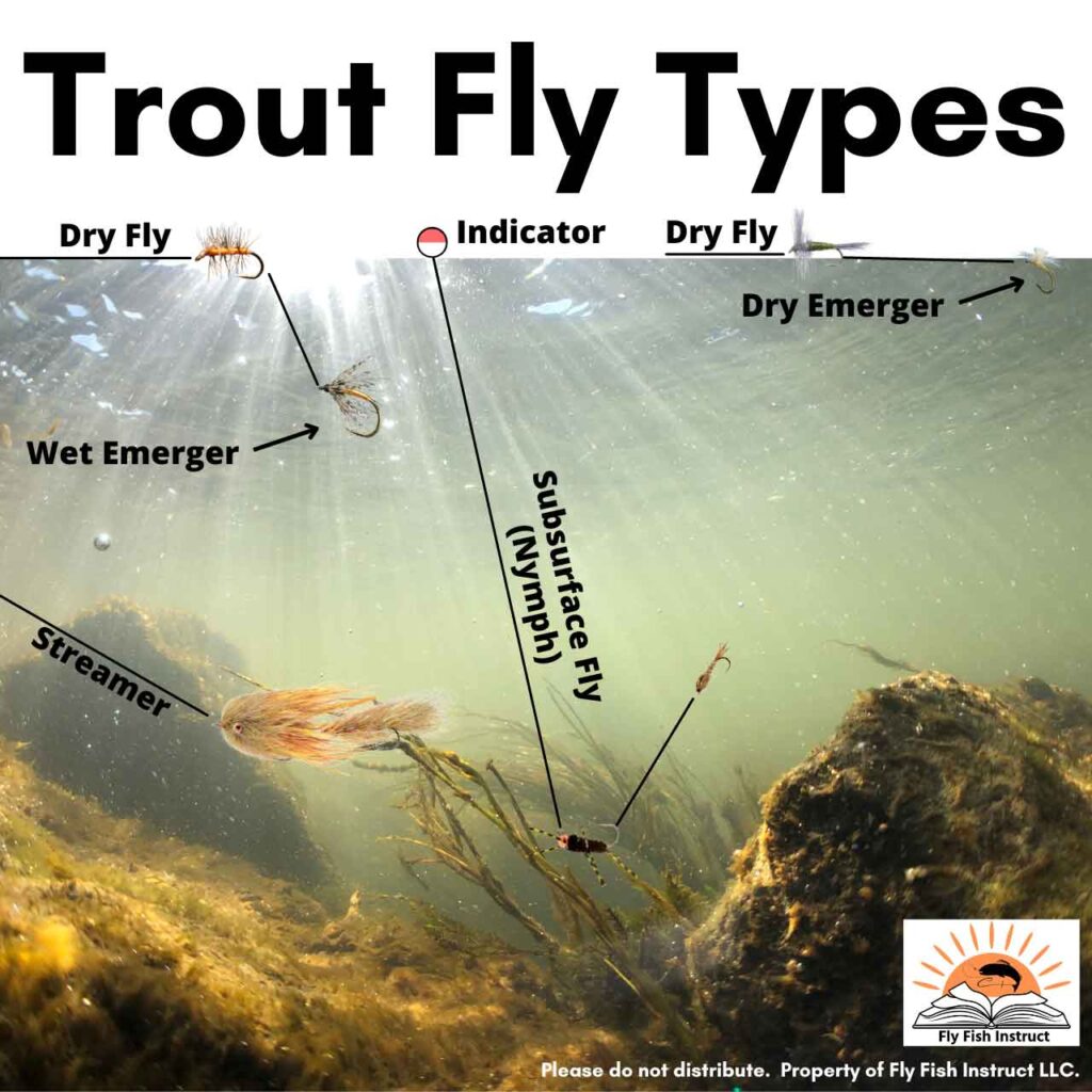 Trout-Fly-Types-1080-x-1080