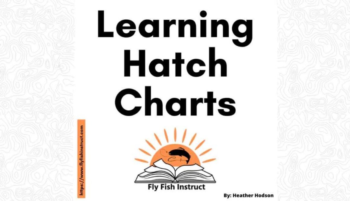 Website-Featured-Image-Learning-Hatch-Charts