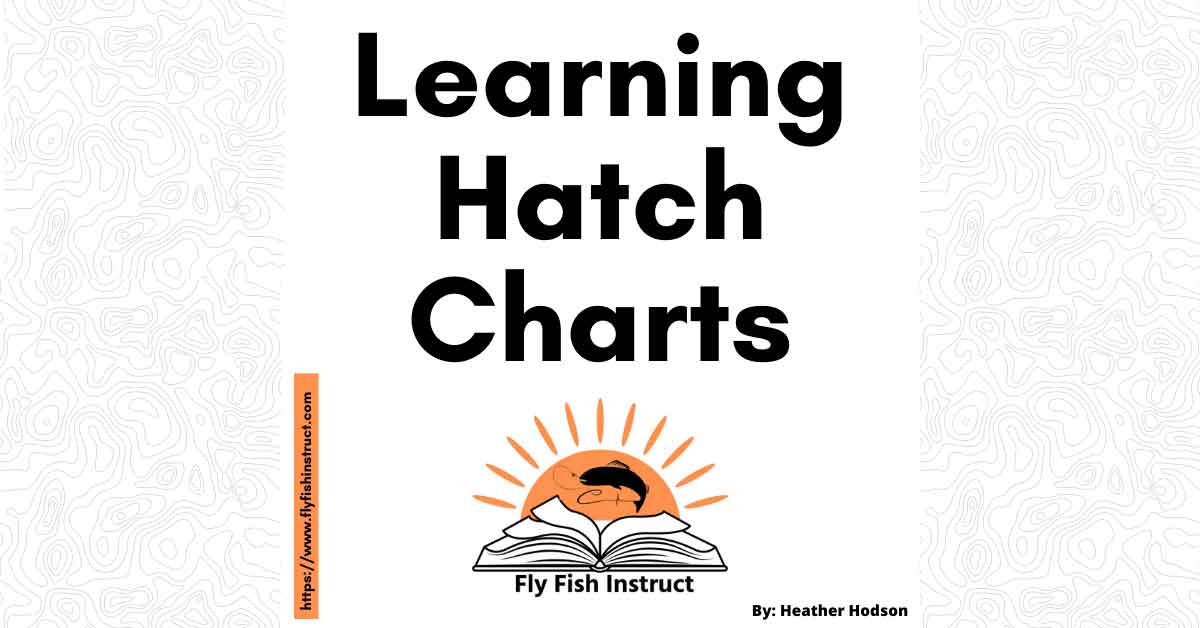 Website-Featured-Image-Learning-Hatch-Charts