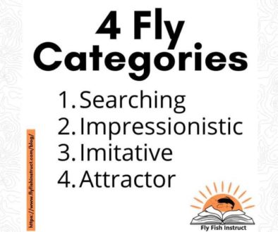 4-Fly-Categories
