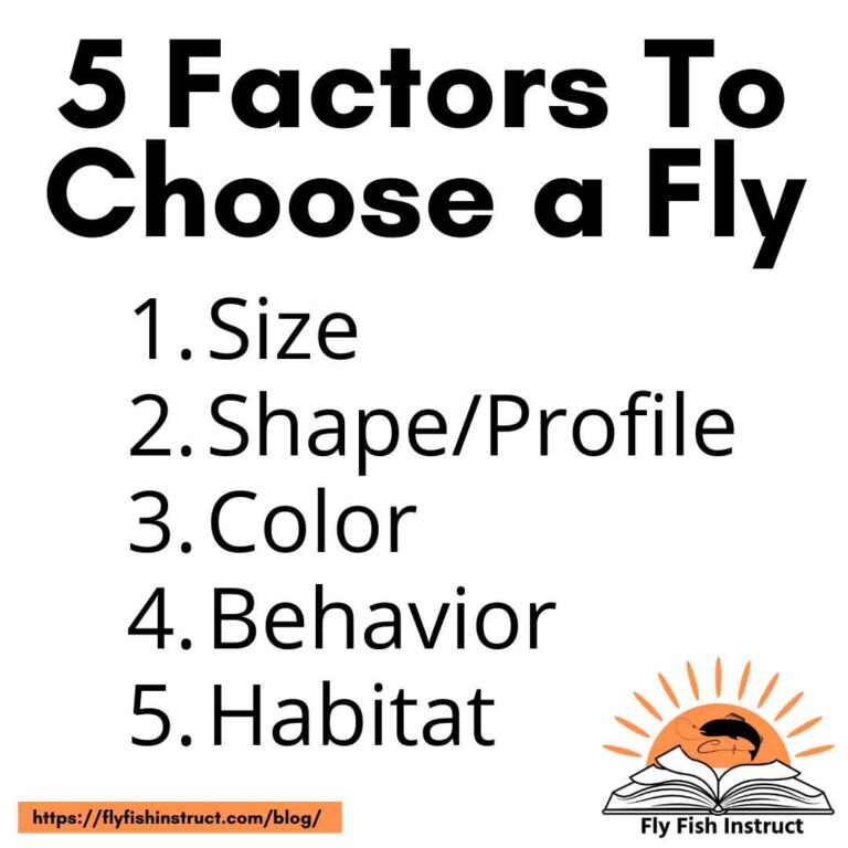 5-Factors-to-Choose-a-Trout-Fly