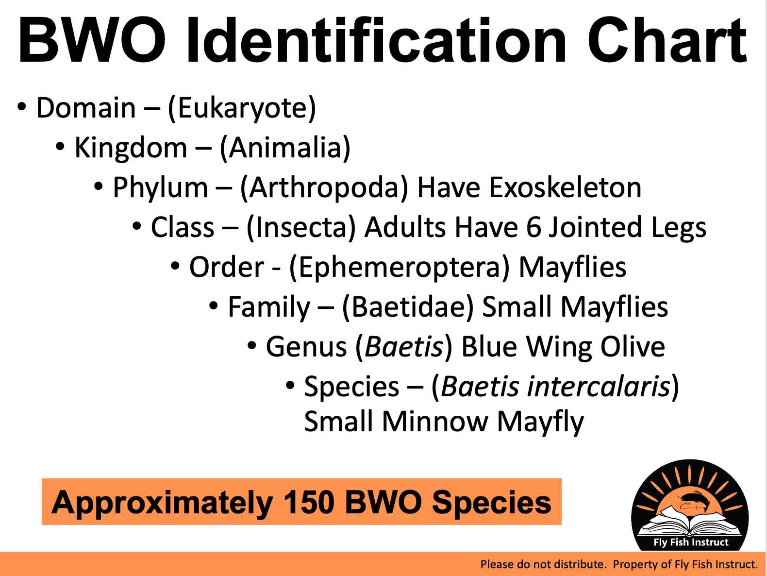 Classification of Aquatic Insects - Fly Fish Instruct