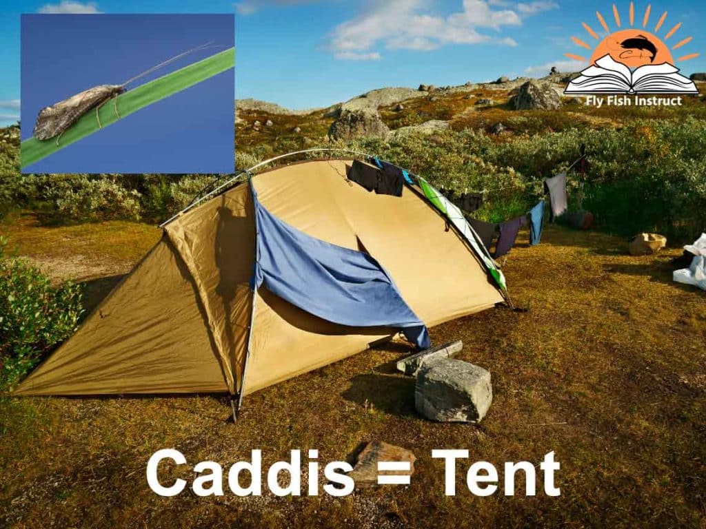 Caddis-Tent-Profile