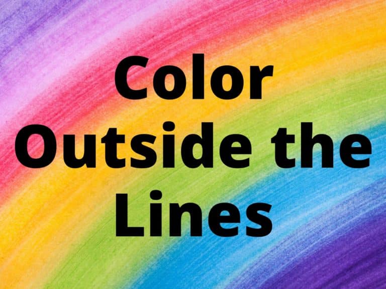 Color-Outsdie-the-Lines-Attractor-Fly-Category