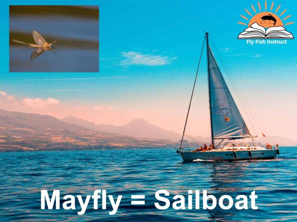 Mayfly-Sailboat-Profile
