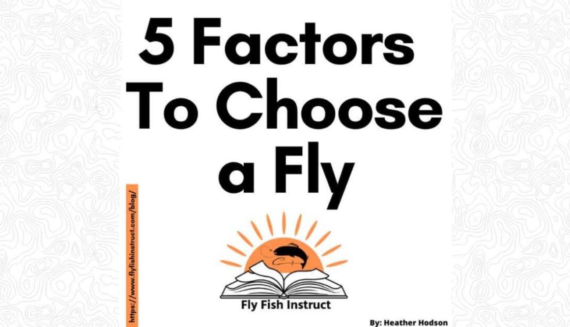 Website-Featured-Image-5-Factors-To-Choose-A-Fly