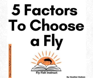 Website-Featured-Image-5-Factors-To-Choose-A-Fly