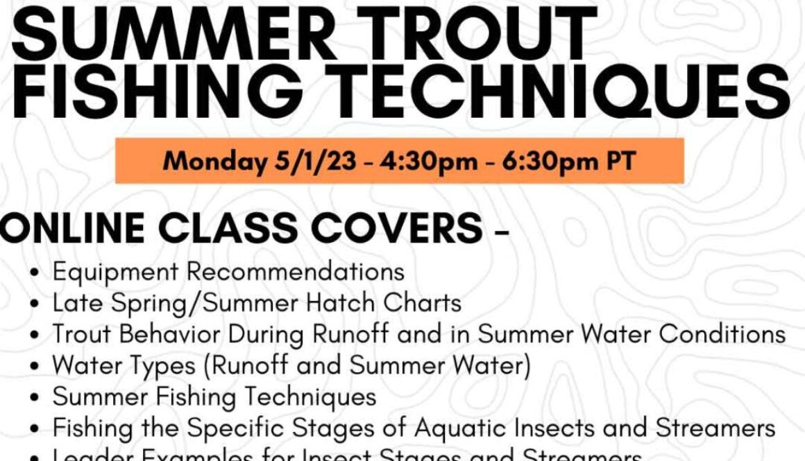 Summer Trout Fishing Techniques Live Course