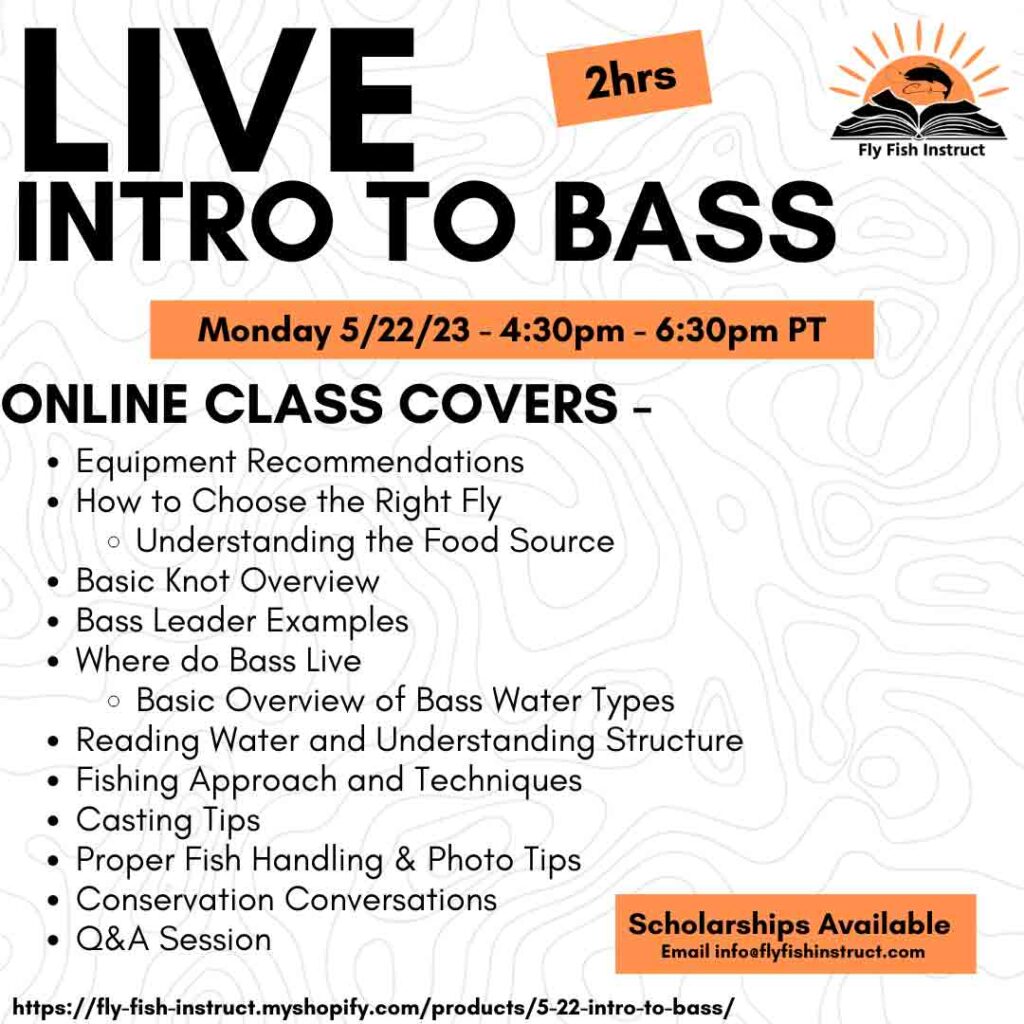 Live-Intro-to-Bass-5-22-23-Online-Course